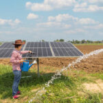 India Solar Pumps Renewable Irrigation and the Shift Toward Energy-Efficient Farming