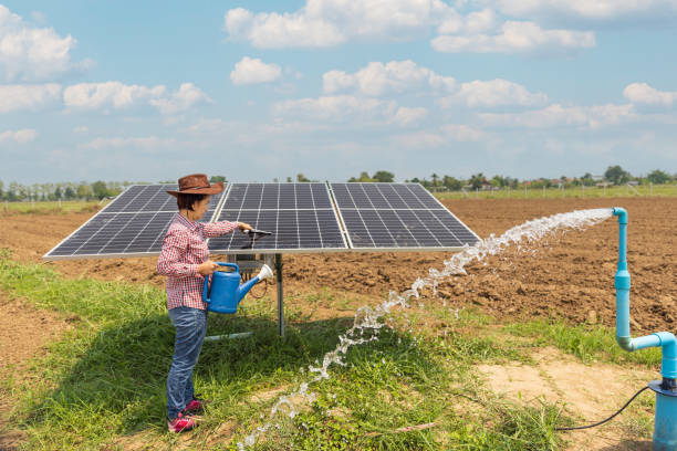 India Solar Pumps Renewable Irrigation and the Shift Toward Energy-Efficient Farming