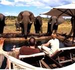Family-Friendly Small Group Adventure Tours in San Diego: Which Experiences Are Worth Booking?