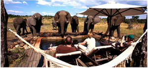 Family-Friendly Small Group Adventure Tours in San Diego: Which Experiences Are Worth Booking?