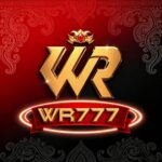 WR777 – A Complete Overview of a Digital Betting ID Platform