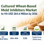 Cultured Wheat-Based Mold Inhibitors Market to Hit USD 264.6 Million by 2036