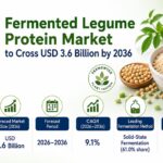 Fermented Legume Protein Market to Cross USD 3.6 Billion by 2036