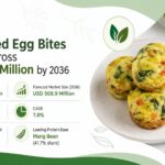 Plant-Based Tzatziki and Labneh Ferment Bases Market Set to Reach USD 140.0 Million by 2036
