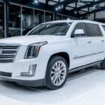 Why More Travelers Prefer Rental Cars for Flexible Transportation?