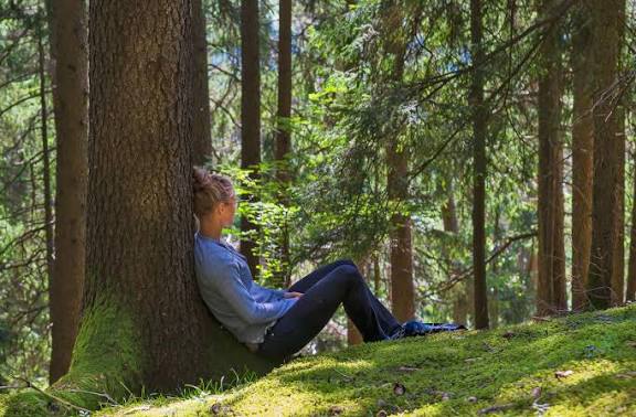 Nature-Based Therapy Programs: A Gentle Path to Healing and Growth
