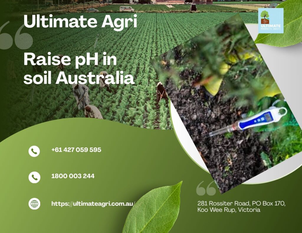 Raise pH in Soil: Complete Guide to Improving Acidic Soil for Better Crop Growth