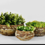 Ceramic Pot Manufacturers Near Me: Find Premium Ceramic Pots for Homes, Gardens, and Businesses