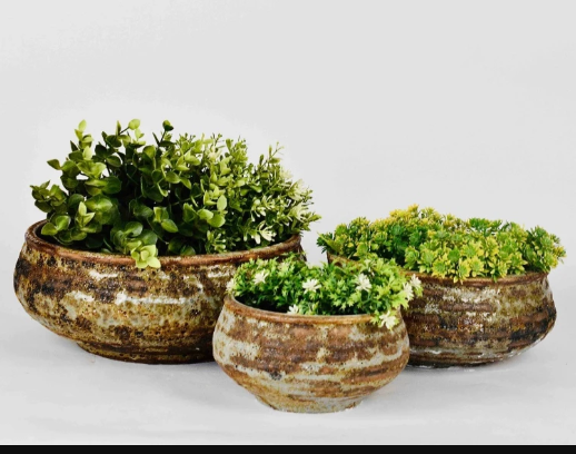Ceramic Pot Manufacturers Near Me: Find Premium Ceramic Pots for Homes, Gardens, and Businesses