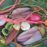 Why Handmade Nature Collage Artwork Makes an Exceptional Meaningful Gift