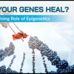 Understanding How Epigenetics Shapes Your Health