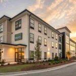 Lavish & Sons 100 Five-Star Reviews Milestone in Santa Rosa CA