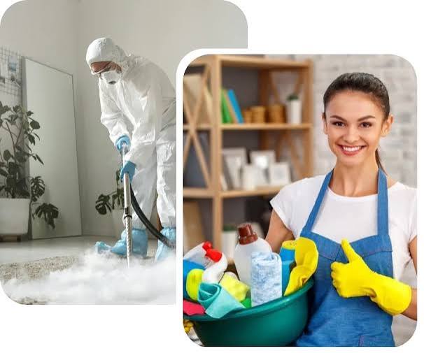 How Can Carpet Cleaning SEO Help You Get More Local Customers?