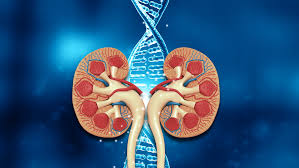 Understanding FSGS: Signs, Symptoms, and Treatment for Better Kidney Health