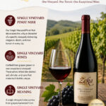 Why Are Single Vineyard Pinot Noir Wines Worth Discovering? Understanding Single Vineyard Wines and Their Meaning