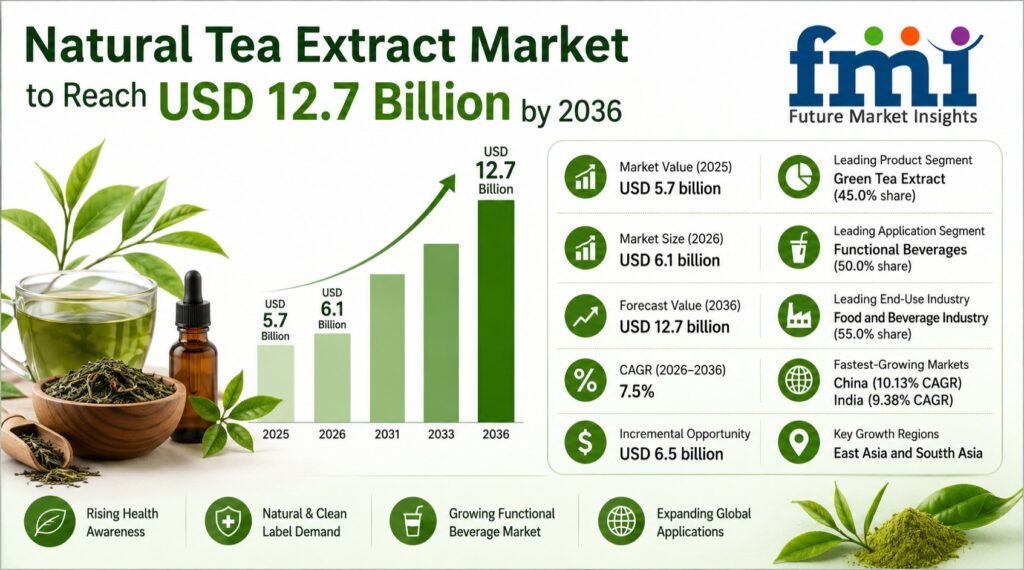 Natural Tea Extract Market to Reach USD 12.65 Billion by 2036
