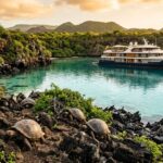 Wildlife Adventure Cruises: The Ultimate Guide to Nature and Expedition Travel