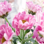 How Seasonal Flower Delivery Adds Beauty to Every Celebration