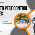 Signs You Need Professional Mosquito Control in Sydney