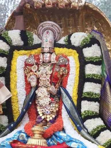 Tirupati VIP Break Darshan Timings, Reporting Time & What to Expect