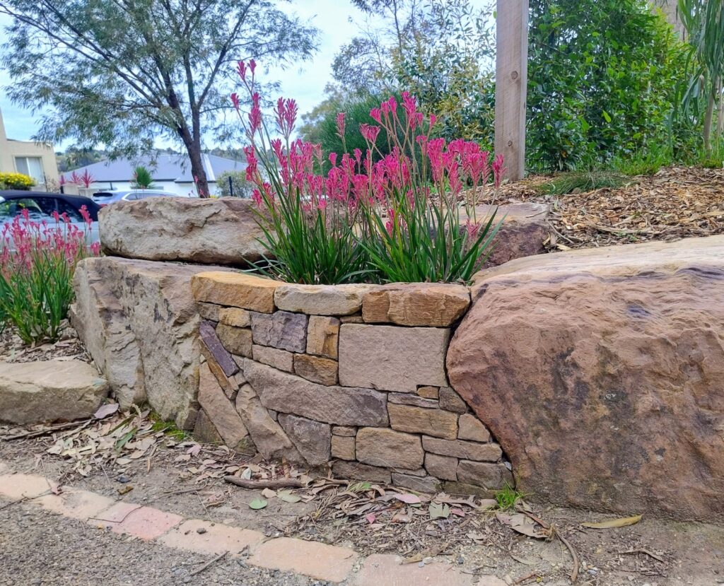 Feature Walls Melbourne