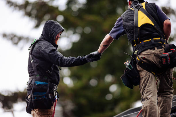 Why Investing in Roofing Services in Seattle, WA Helps Prevent Costly Roof Problems