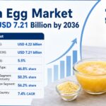 Global Frozen Egg Market to Expand from $4.22Bn in 2026 to $7.21Bn by 2036 at 5.5% CAGR