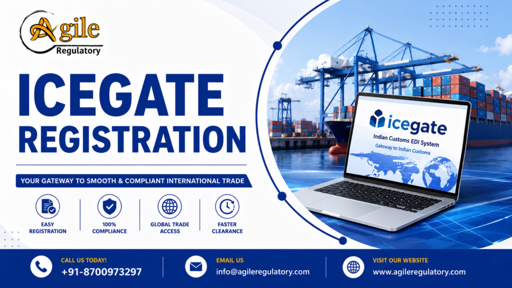 Start Importing and Exporting Legally with an IEC Certificate