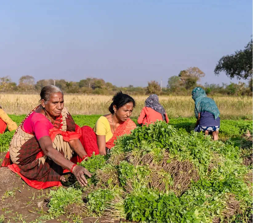Top Benefits of Buying from a Bulk Healthy Food Supplier Delhi