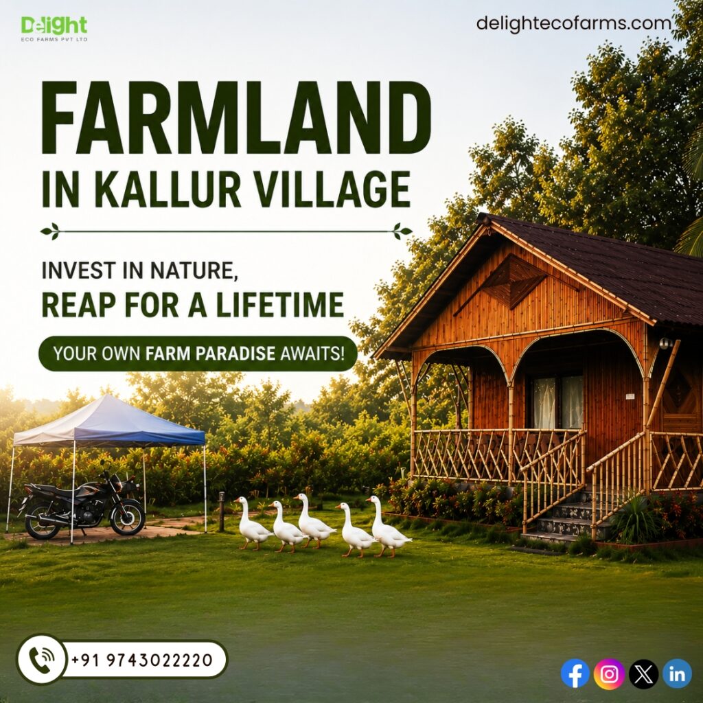 Farm Land for Sale in Sakleshpur: A Smart Investment in Nature, Sustainability, and Long-Term Value | Delightecofarms