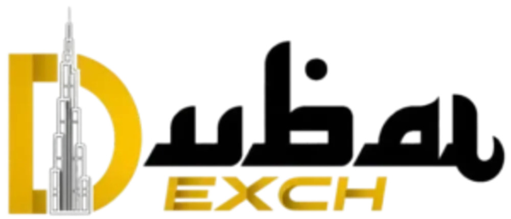 DubaiExch247: A Simple Guide to Understanding the Platform