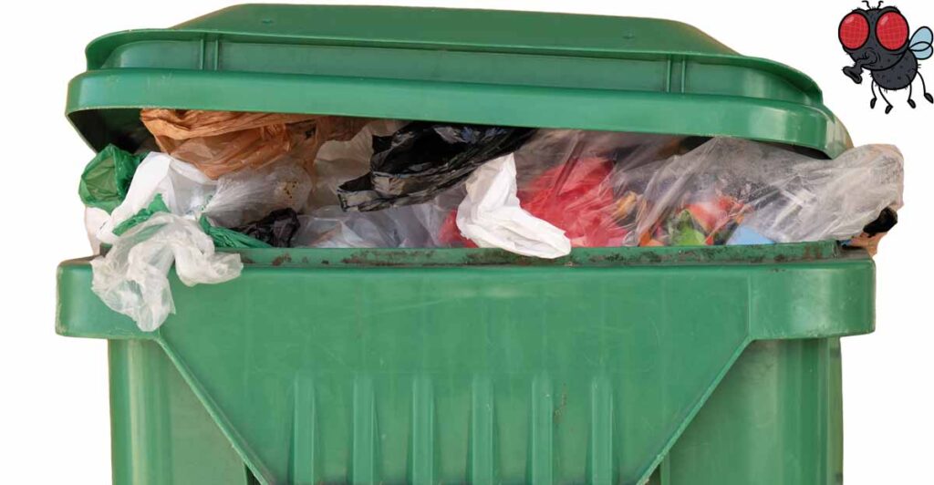 Professional Trash Bin Cleaning Service for a Healthier Home Environment