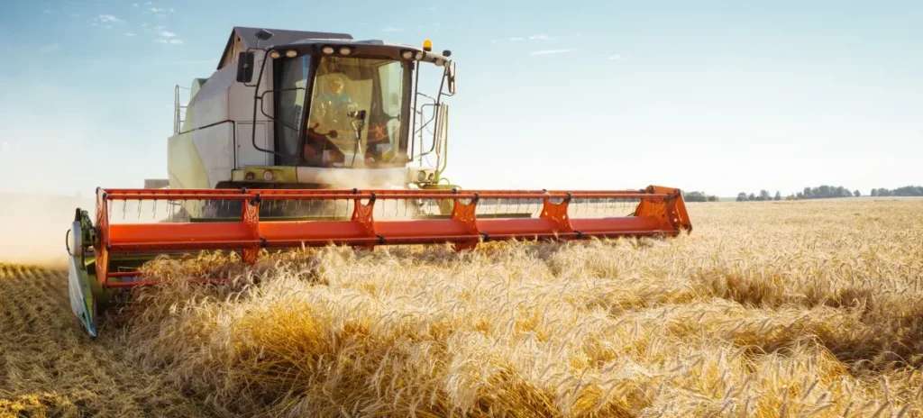 How to Find the Right Wholesale Millet Food Supplier in Delhi