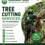 From Tree Trimming to Removal: Professional Tree Services in Hyderabad