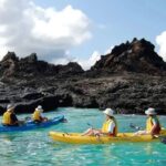 Galapagos Cruise 2026: Best Time to Visit and What You’ll See