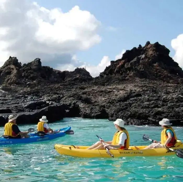 Galapagos Cruise 2026: Best Time to Visit and What You’ll See