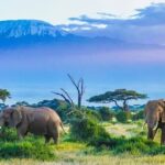 Exploring Kenya’s Historic Swahili Coast and Ancient Trading Towns