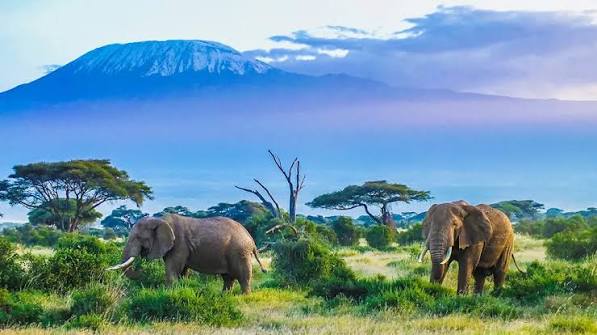 Exploring Kenya’s Historic Swahili Coast and Ancient Trading Towns