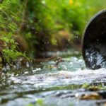 How Environmental Management Can Strengthen Your Business Reputation in Ireland