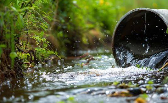 How Environmental Management Can Strengthen Your Business Reputation in Ireland