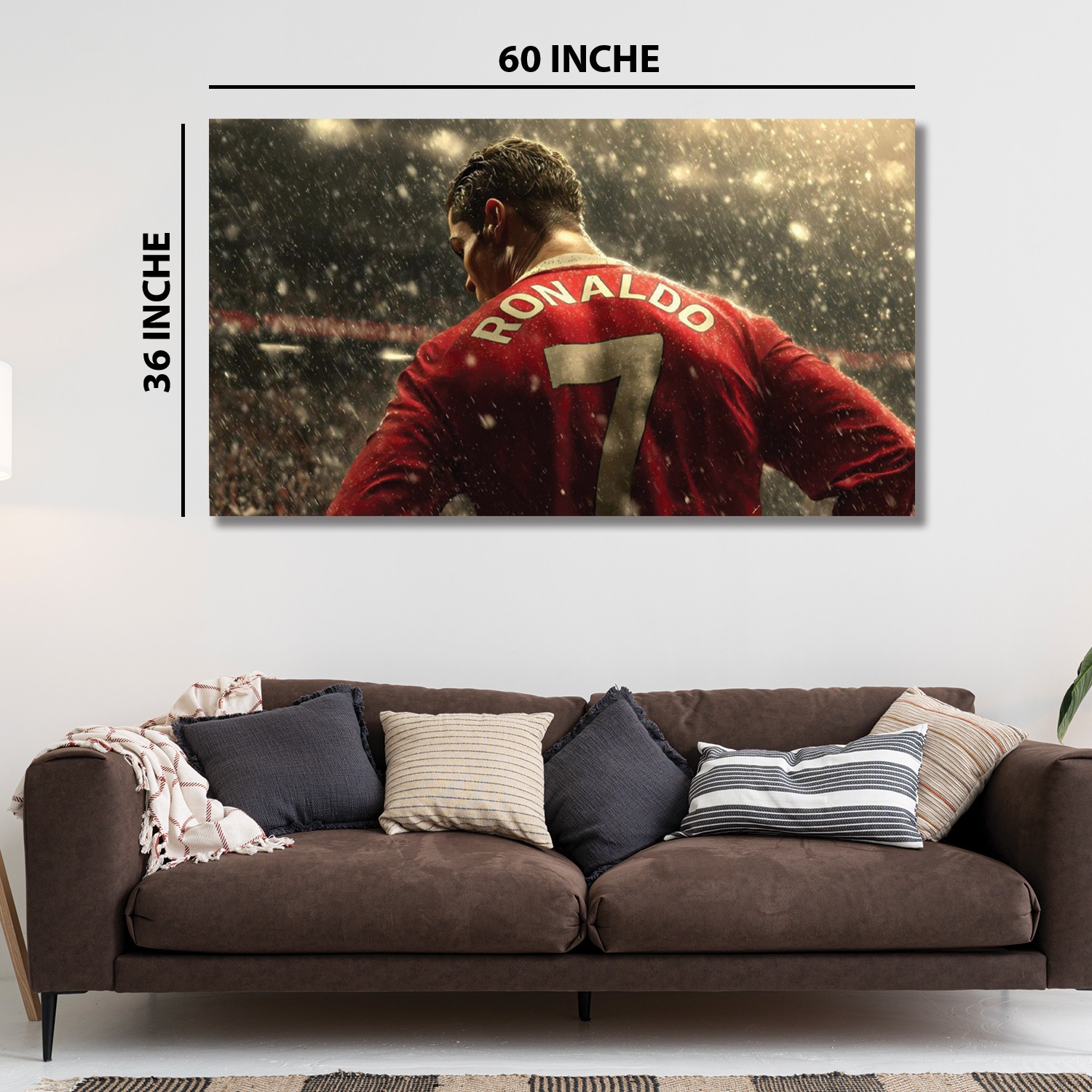 60''x36''