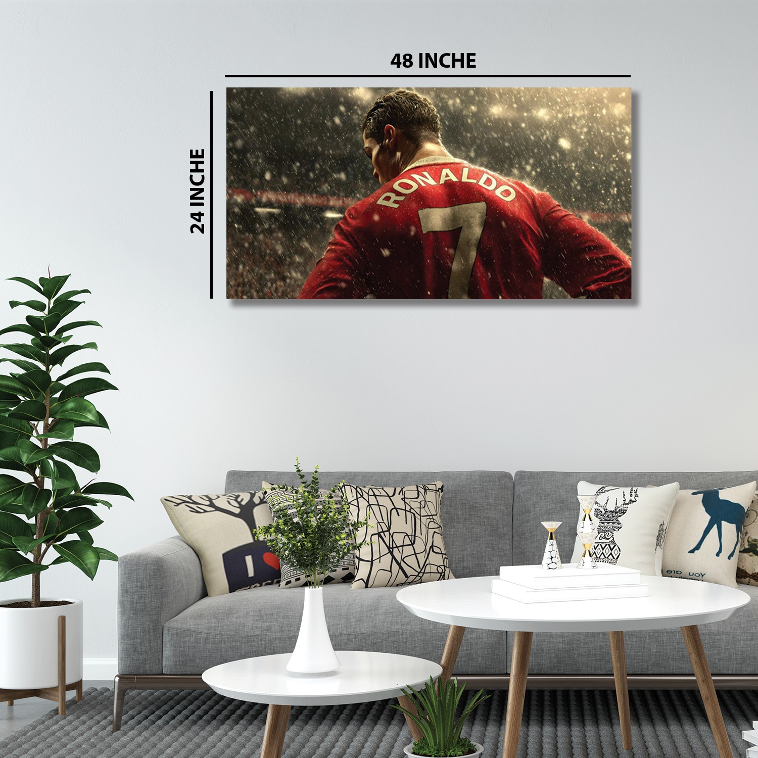 48''x24''