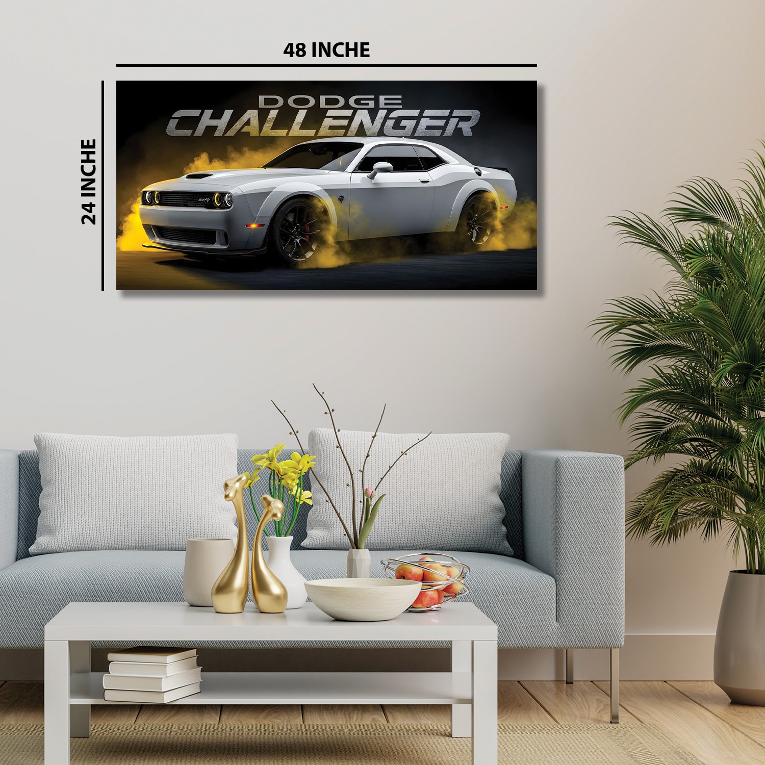 48''x24''