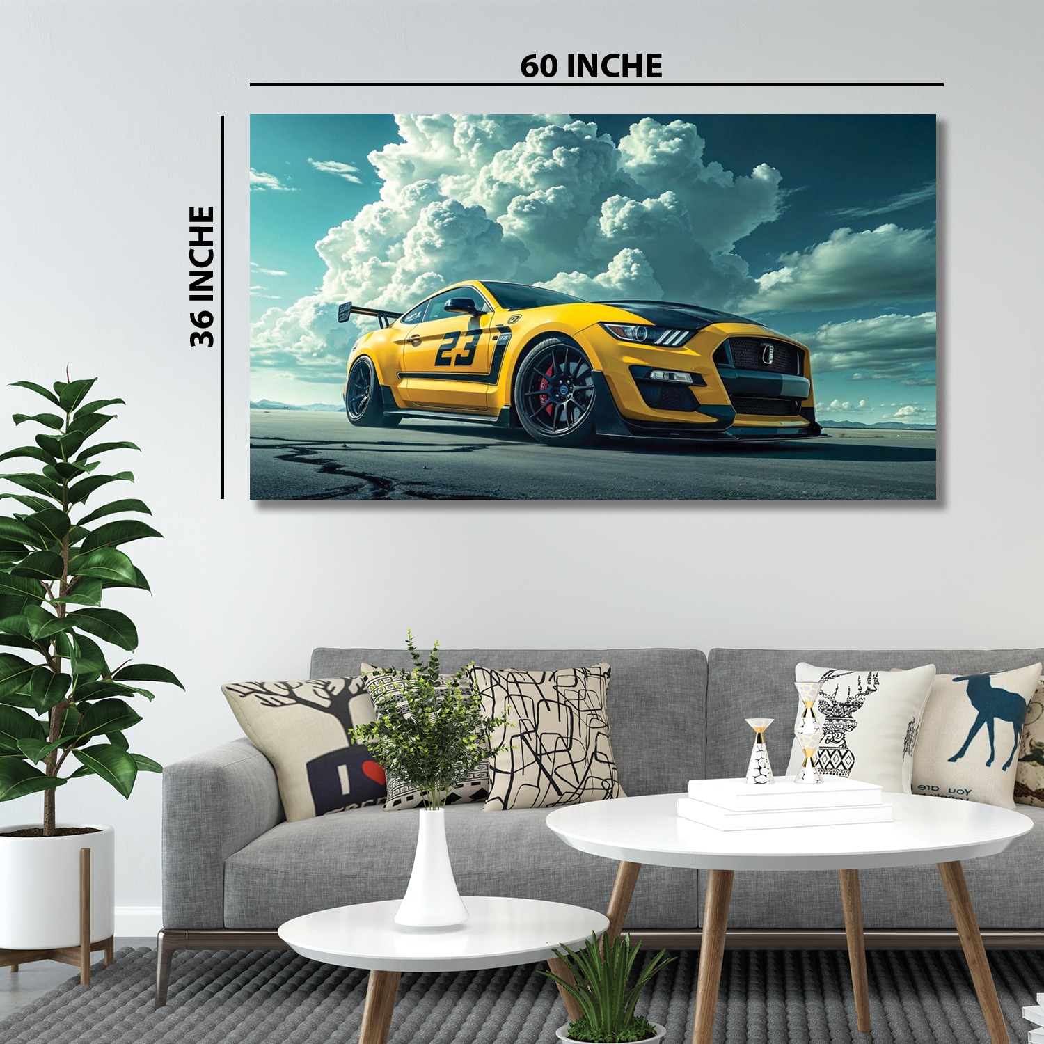 60''x36''