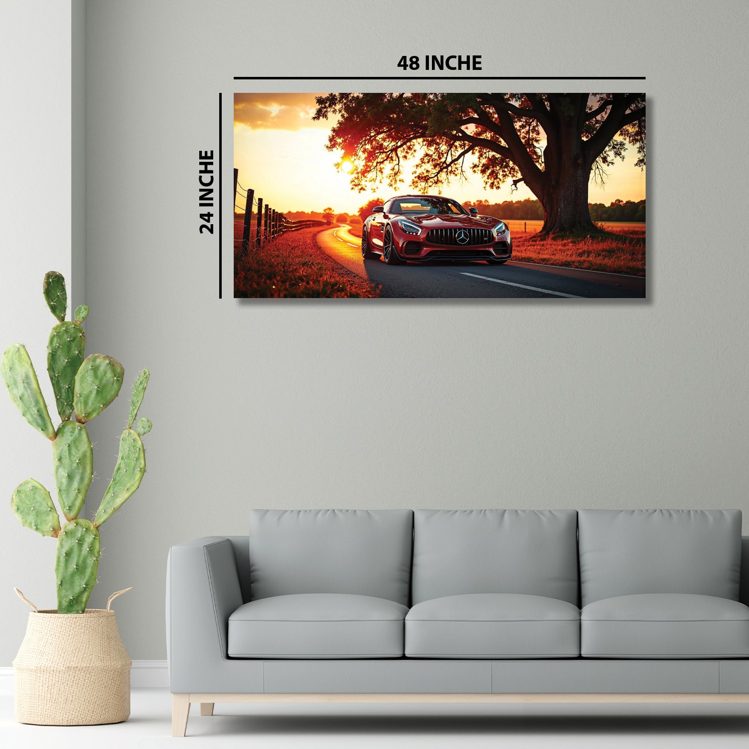 48''x24''