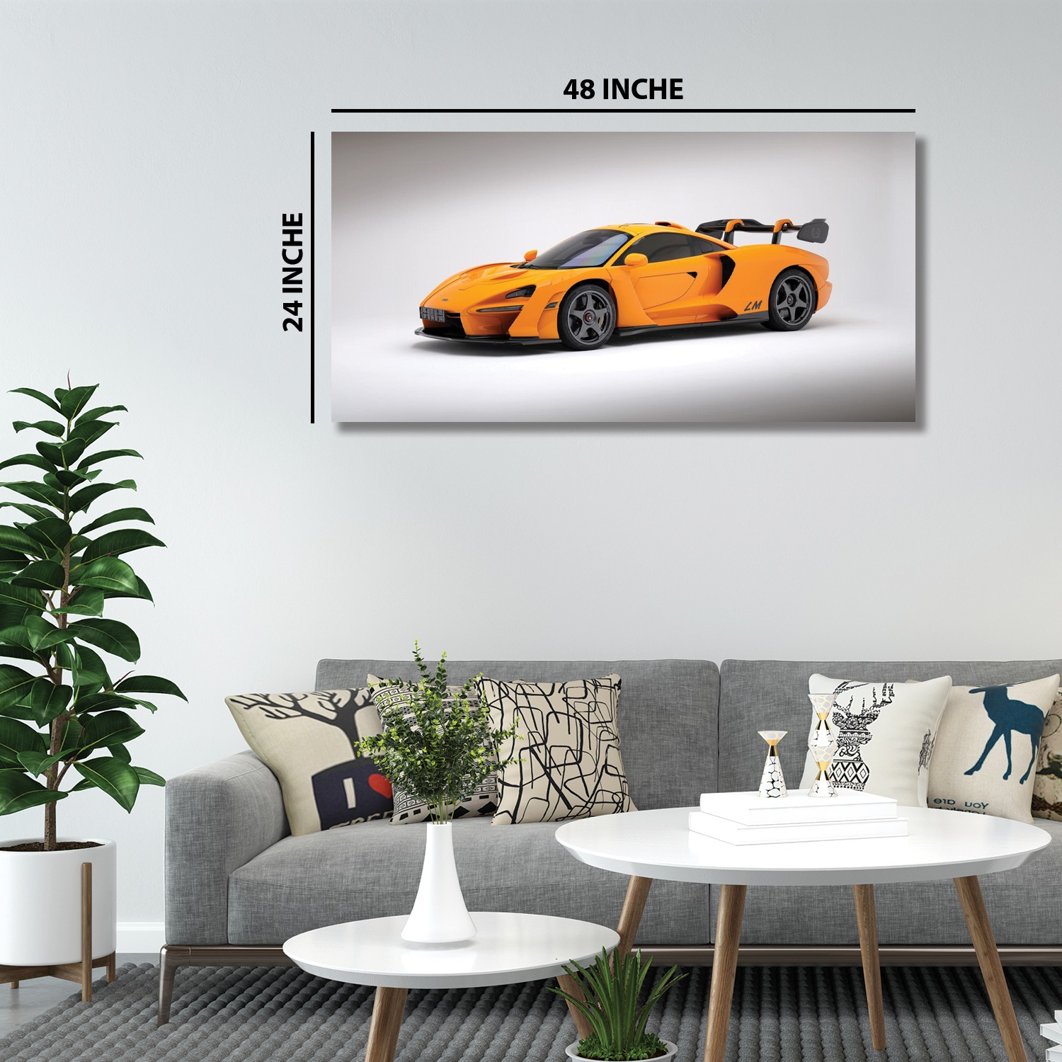 48''x24''