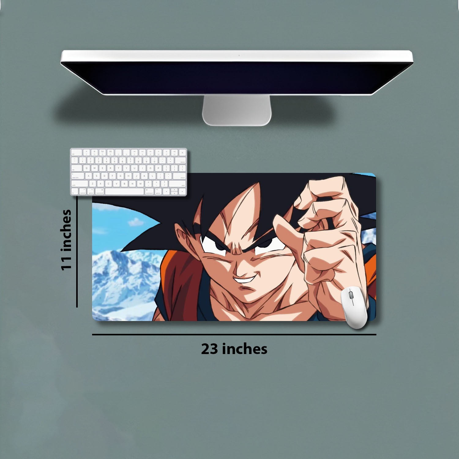 23''X11'