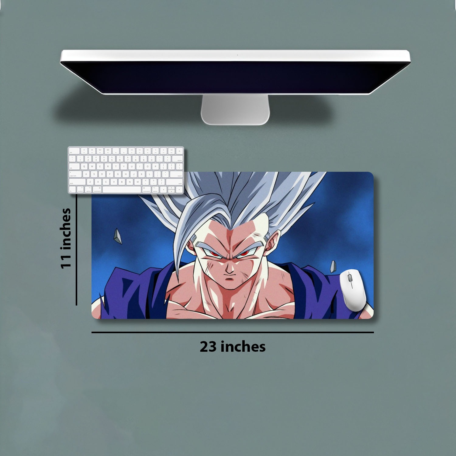 23''X11'