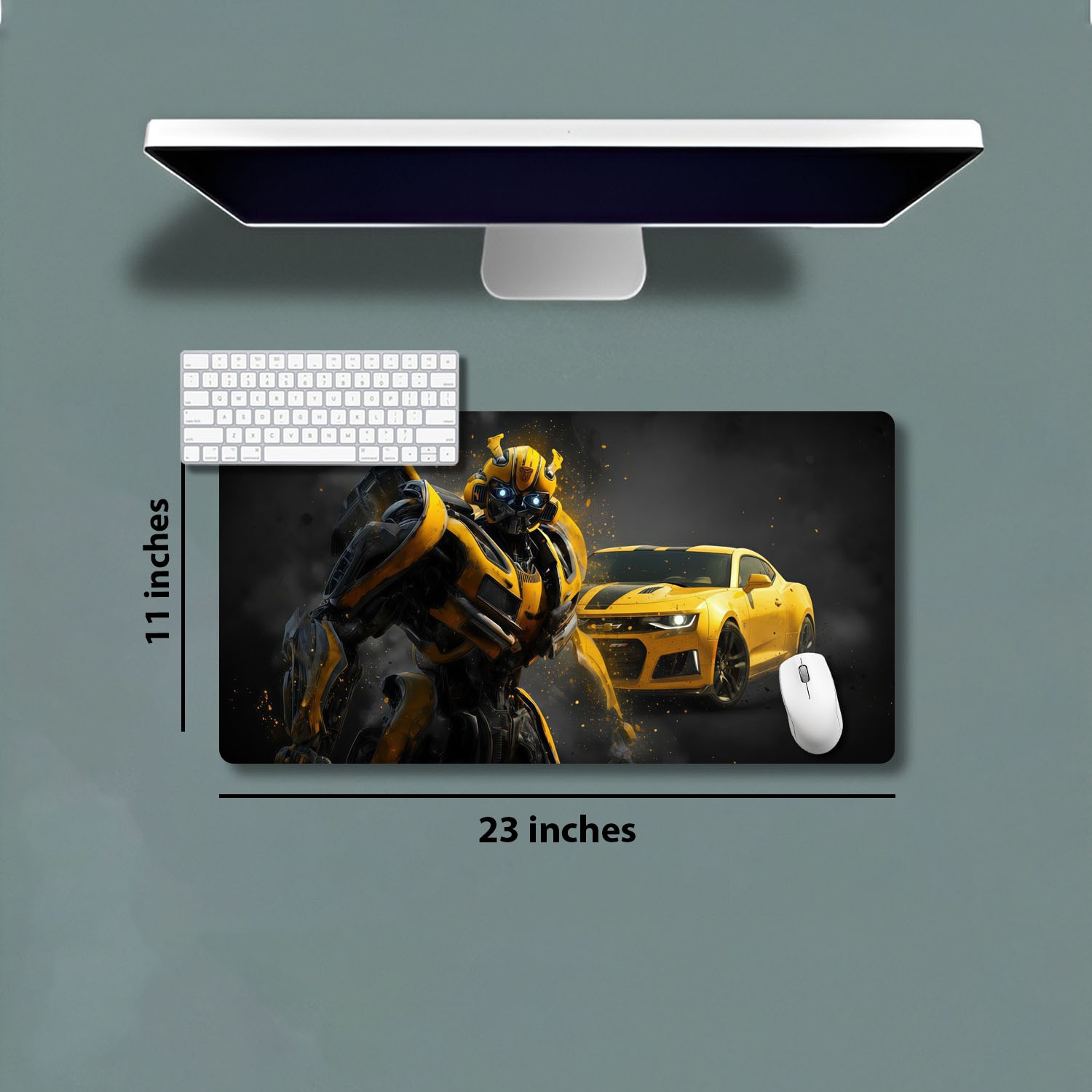 23''X11'
