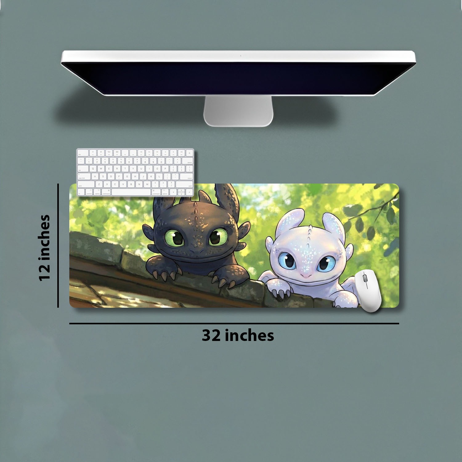 32''X11''